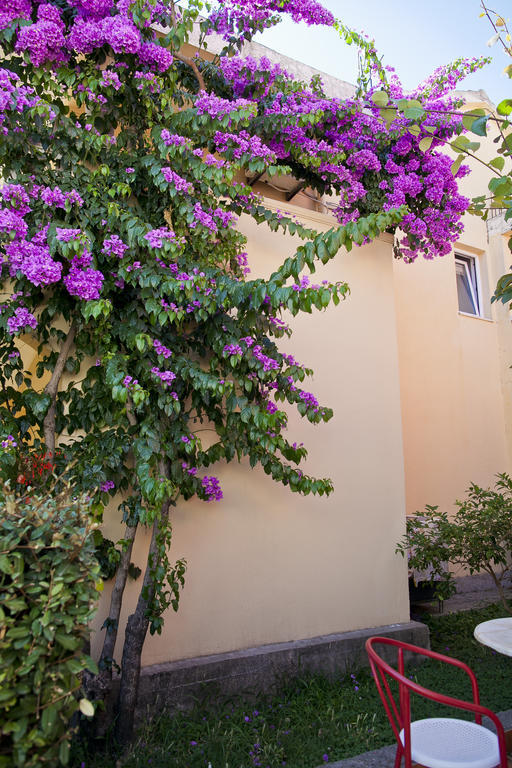 בודווה Apartments Angela מראה חיצוני תמונה
