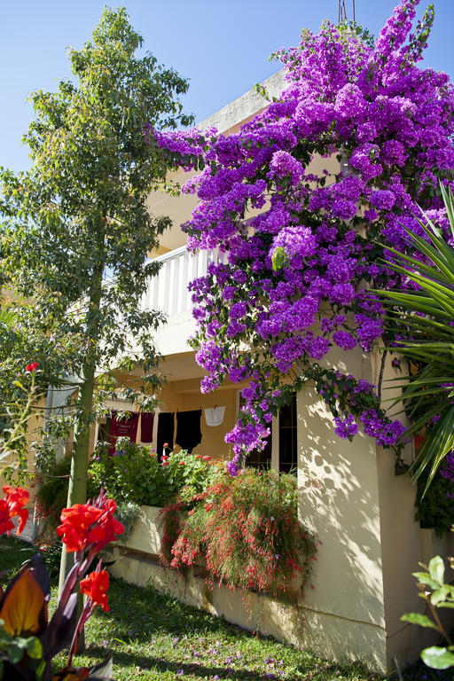 בודווה Apartments Angela מראה חיצוני תמונה